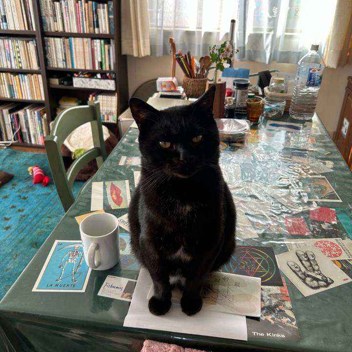 0f5c77c5 77ed 4092 adbc 502208633855 1731296649975