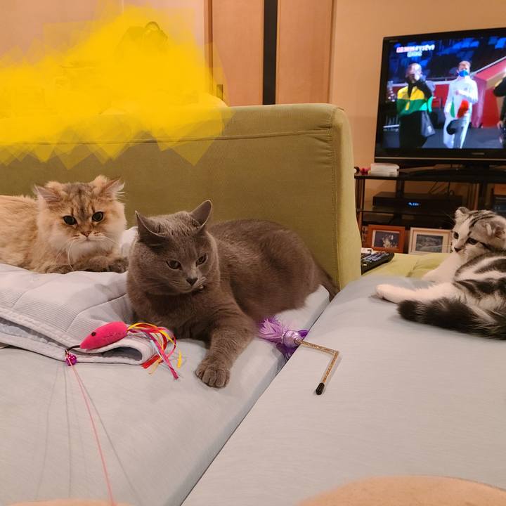 0f5c9d72 66e2 46ad adef 2b1e61e0a872 1628460591446