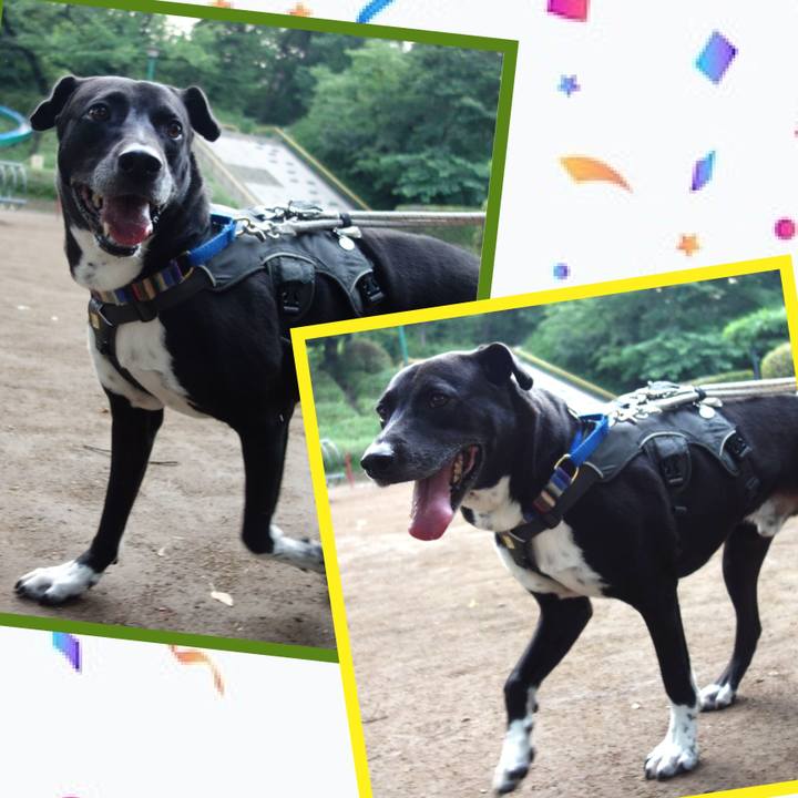 0f5cad3e 052e 4470 a3a8 f0ead0add3da 1655462869076