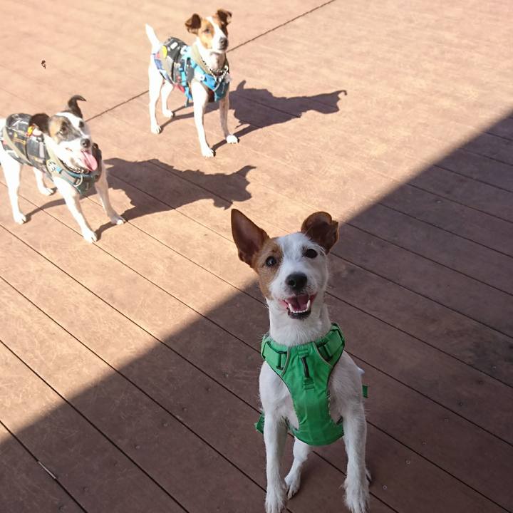 0f5ce20a 1240 4156 aa17 ade49e642b78 1602838866990