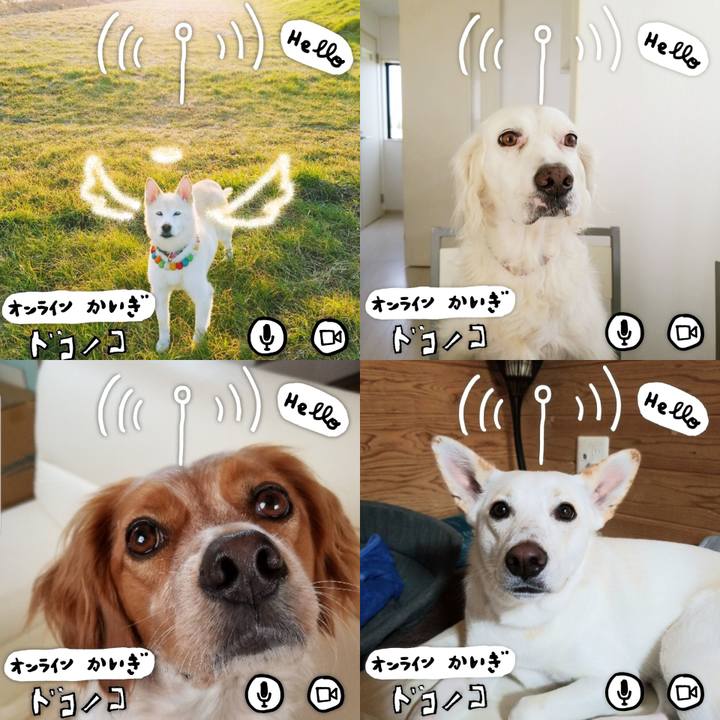 0f5ce4bb 345f 4359 af64 0e3544e2fcf6 1591362988759