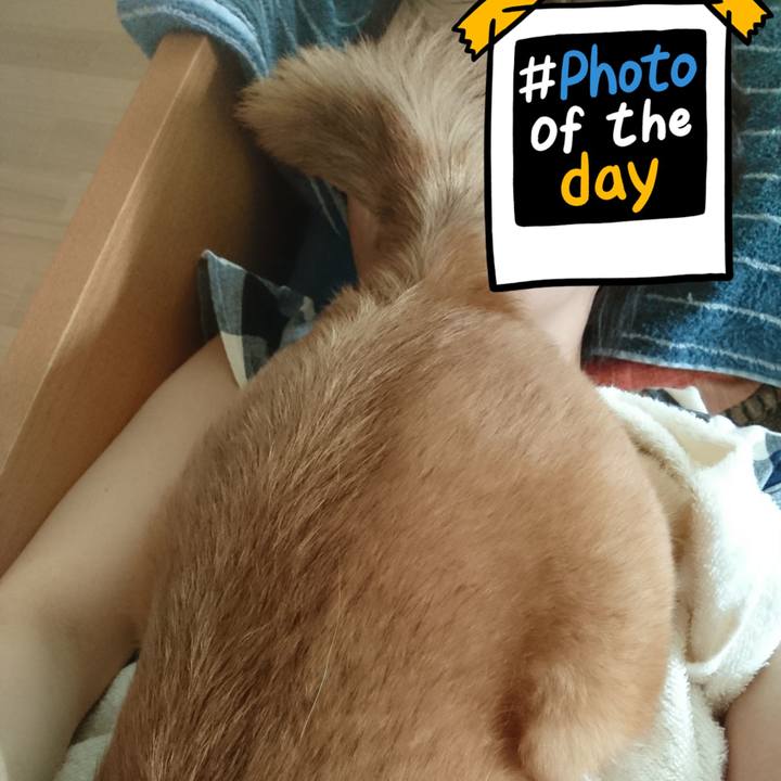 0f5cf18d 2bcb 413e 88a1 28ac9875f371 1534579249220