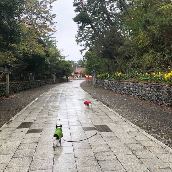 0f5cf32c 6163 480f 8671 f8db23f4374e 1572134857374