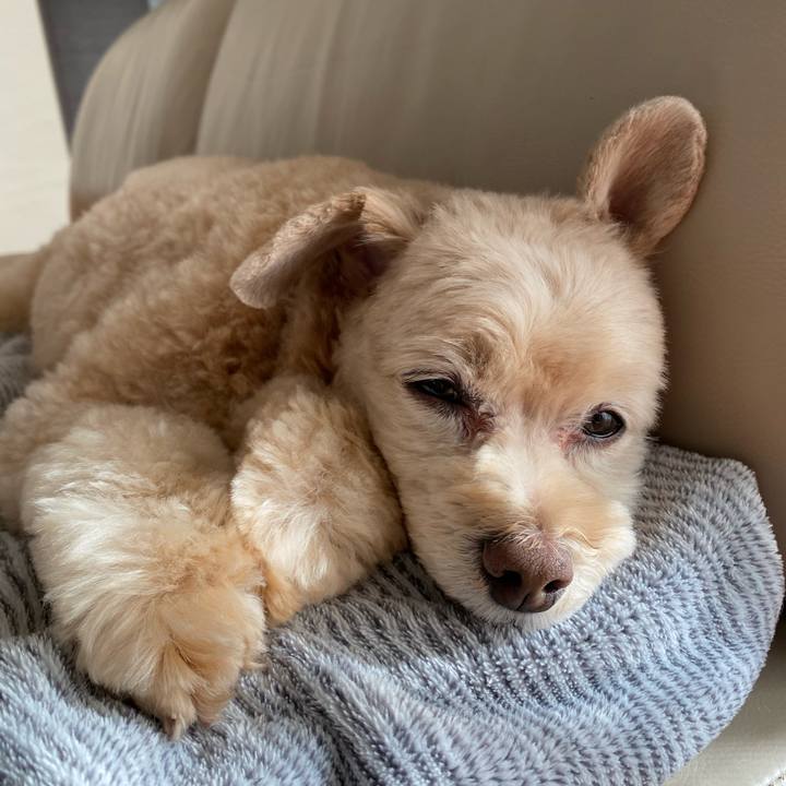 0f5d1bc6 d023 437b b68a 683e21300b73 1579934797080