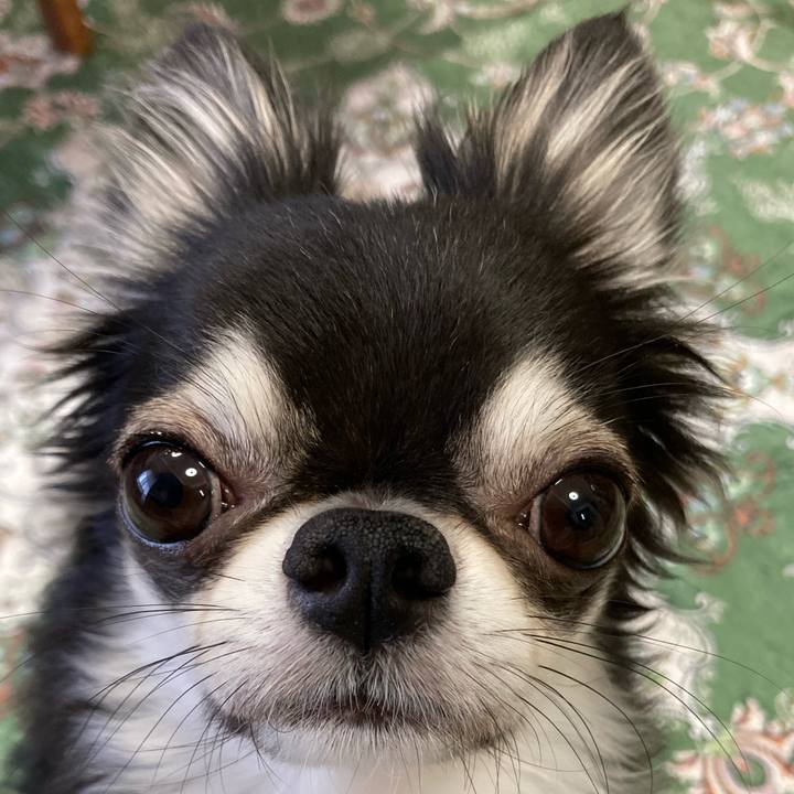 0f5d63f4 0415 4efb 8a7a ca7741b32909 1660949364092