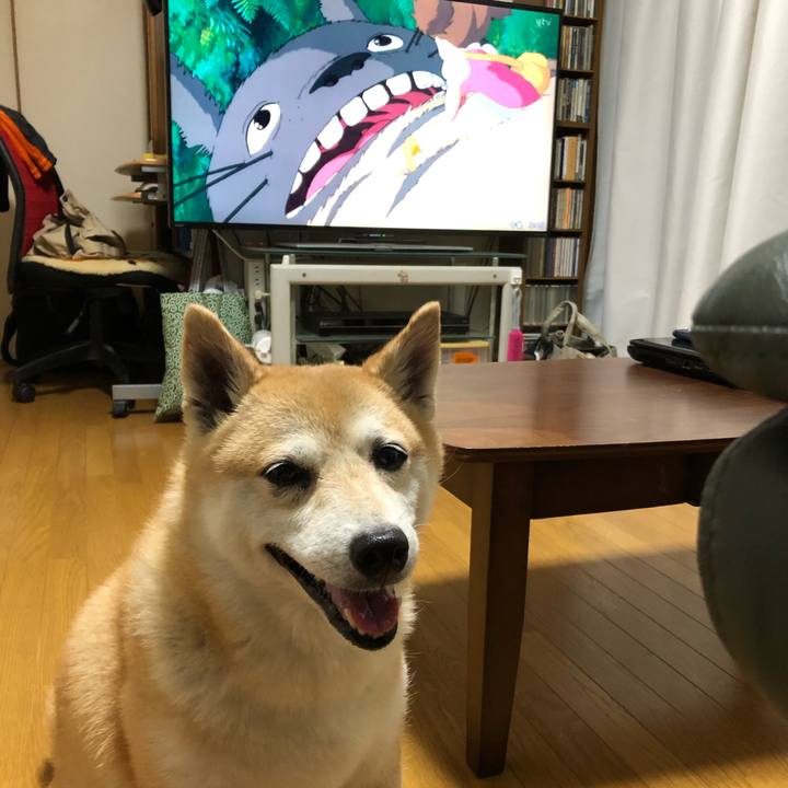 0f5d885d da27 49d2 9234 f1c75e502809 1597410245745