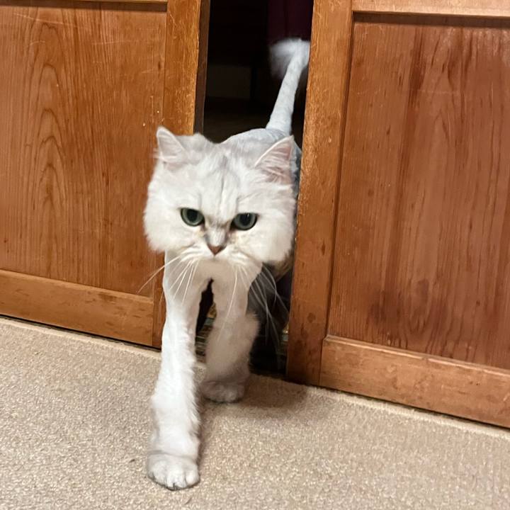 0f5d991c 9aba 4eb3 8a6c 7c91a57fbee2 1662639466188