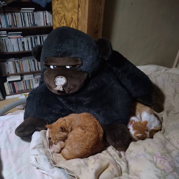 0f5dd0f3 cfae 4c67 bd48 739d07423320 1763719559345