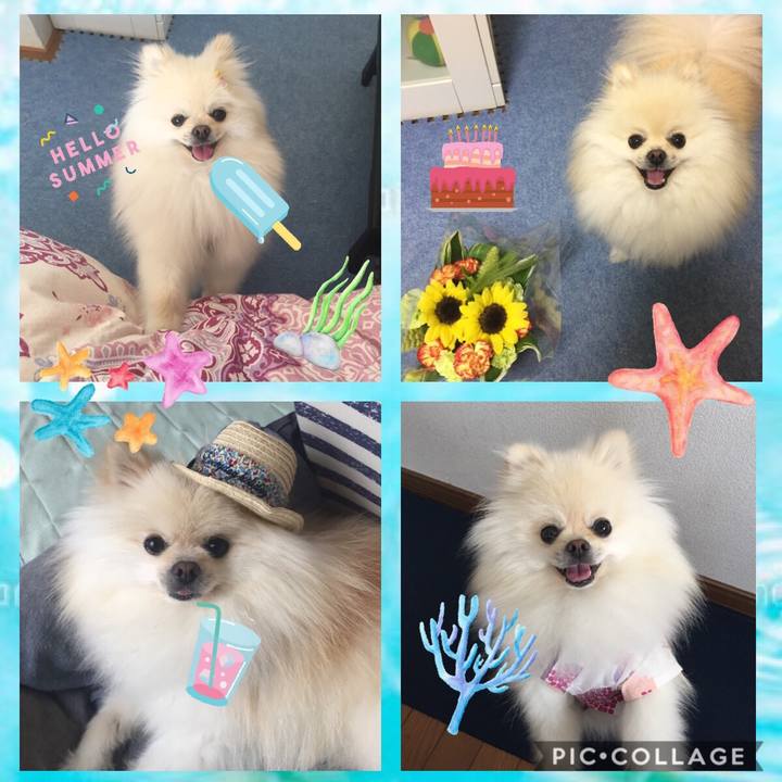 0f5dd5fc 0f3f 44cf ad7e f09f8a4d56ea 1533826913926