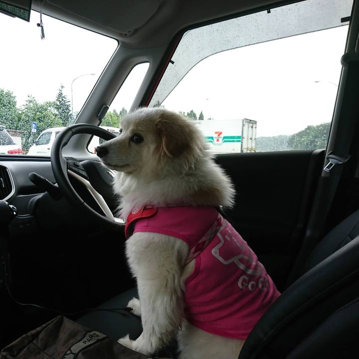 0f5df0c2 d6b3 4ebc b688 c96dc255096e 1649146200089