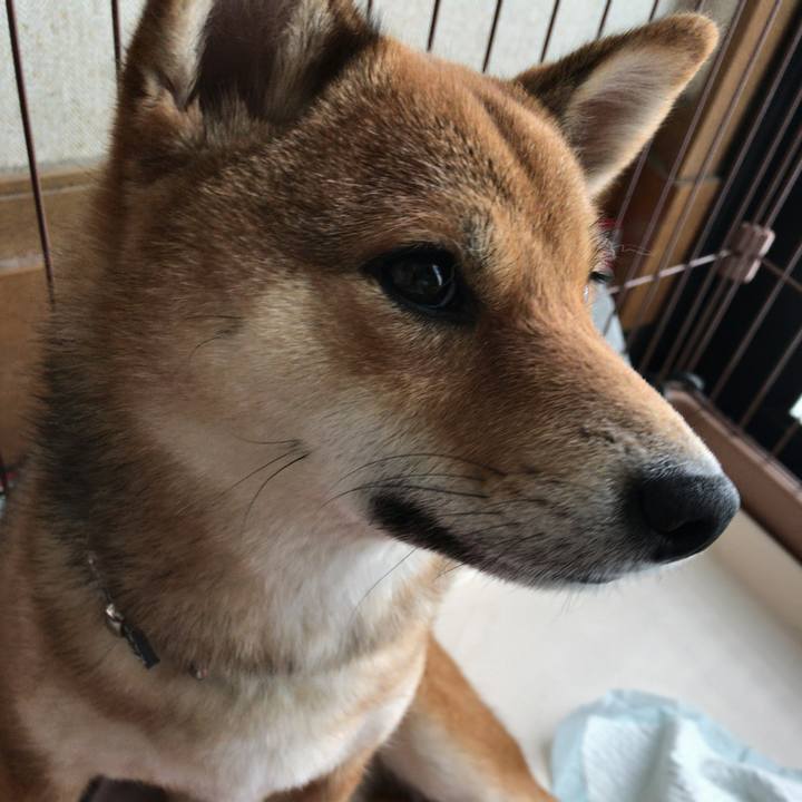 0f5e0a9e a689 4ad8 bf81 5d897fc7fc60 1517121644284