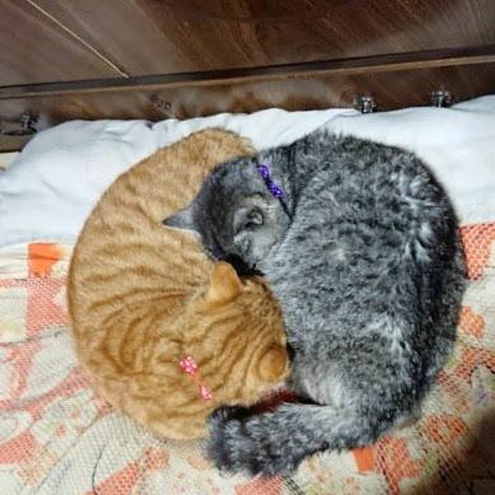 0f5e31ff a189 487f 97c2 4bc7cdb2ff5d 1577884079463