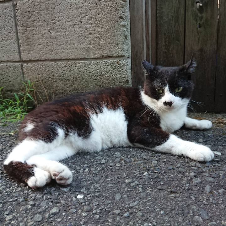 0f5e42f0 ee4a 4fa8 b6c0 c6542266e605 1691225927044