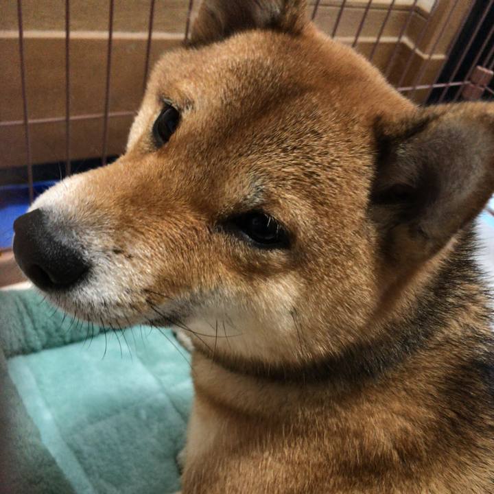 0f5e43ff 1c17 484c 8433 8c80c1fe6f50 1542410225354