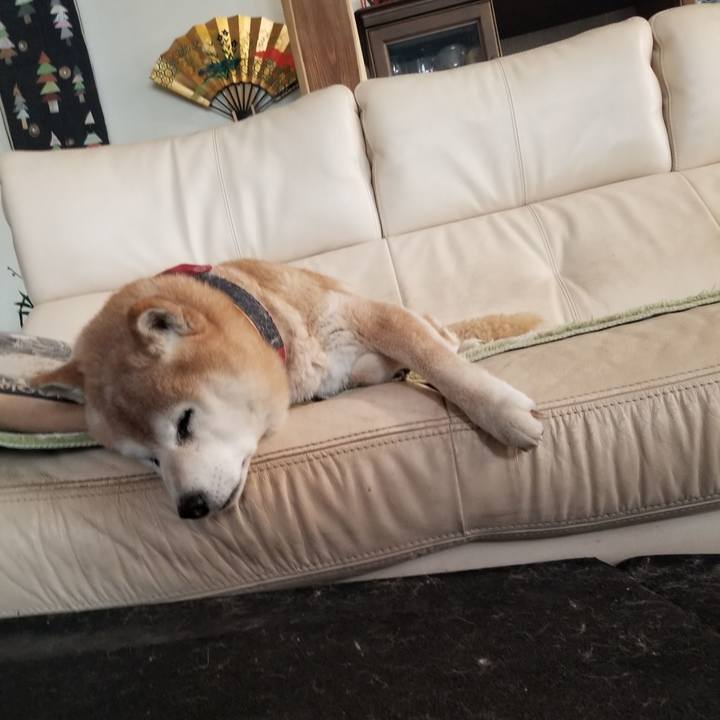 0f5e5ccb fce7 4074 b968 82f1ead4f3df 1768866855914