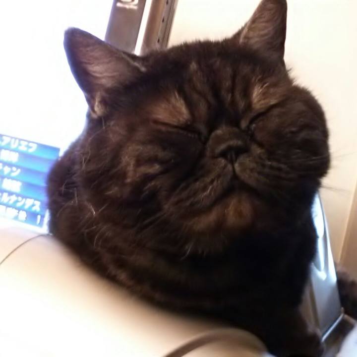 0f5eb2cc 563c 4998 9b8b 8a04e56bfec8 1518840873969