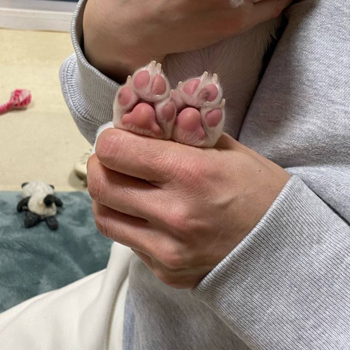 0f5ebffc bfbd 4378 9b9a fef5882bc9fe 1743509599630