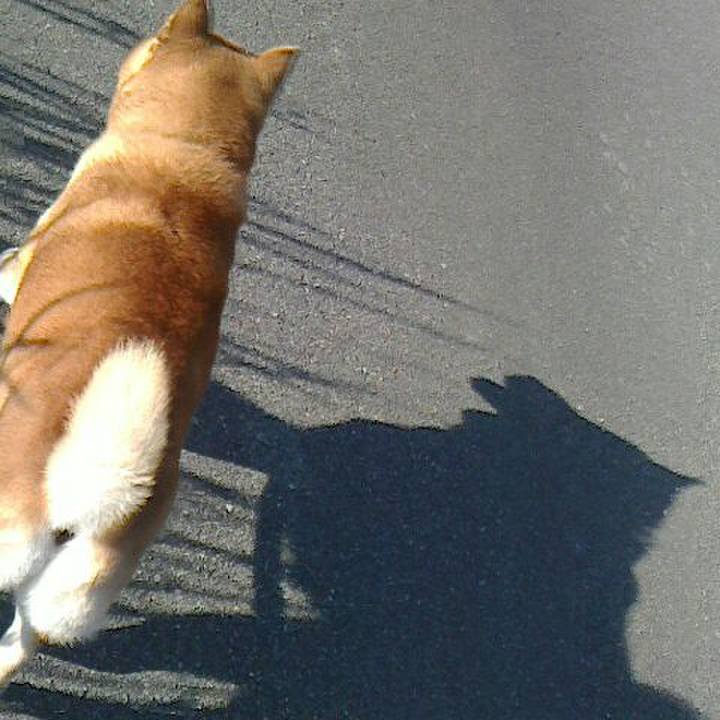 0f5f3f78 1594 4b18 8f17 ddfe4d087b44 1565574159228