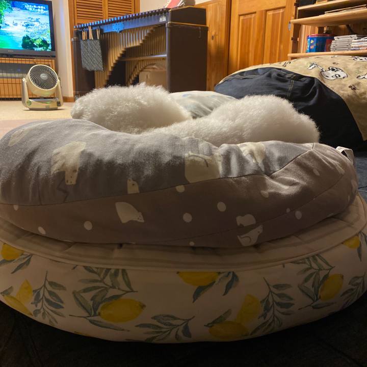 0f5f5079 404f 40df a007 c41dcfbc4fb6 1631361647501