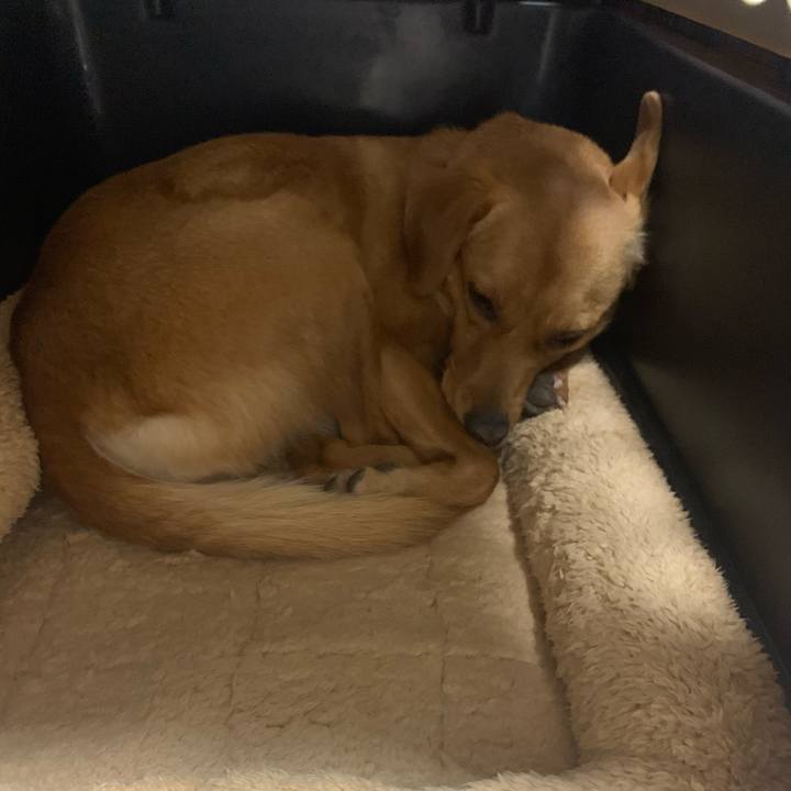 0f5f6a22 4d85 4305 baaf 00248dfa876a 1576710506685