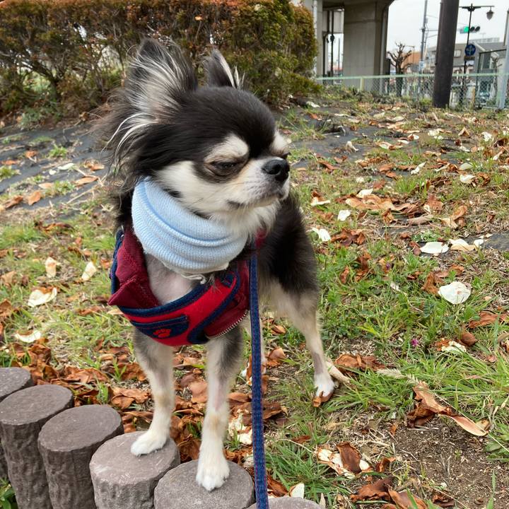 0f5f6bc0 575b 4b98 b720 5bcca6eccafc 1711277531348