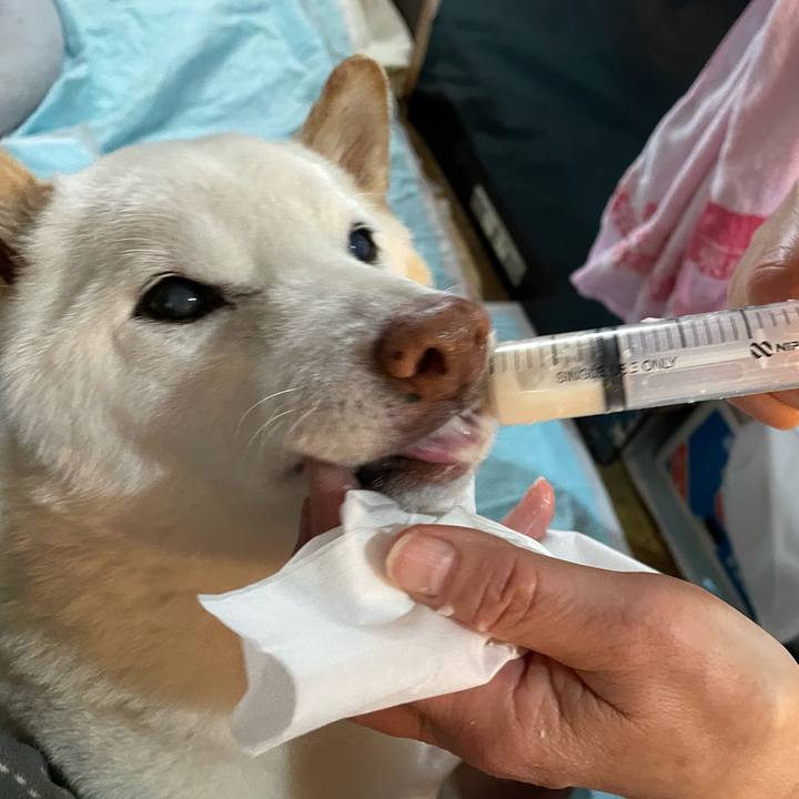 0f5f7ed4 50ed 4be1 8c0e 55145cd63950 1645277214668