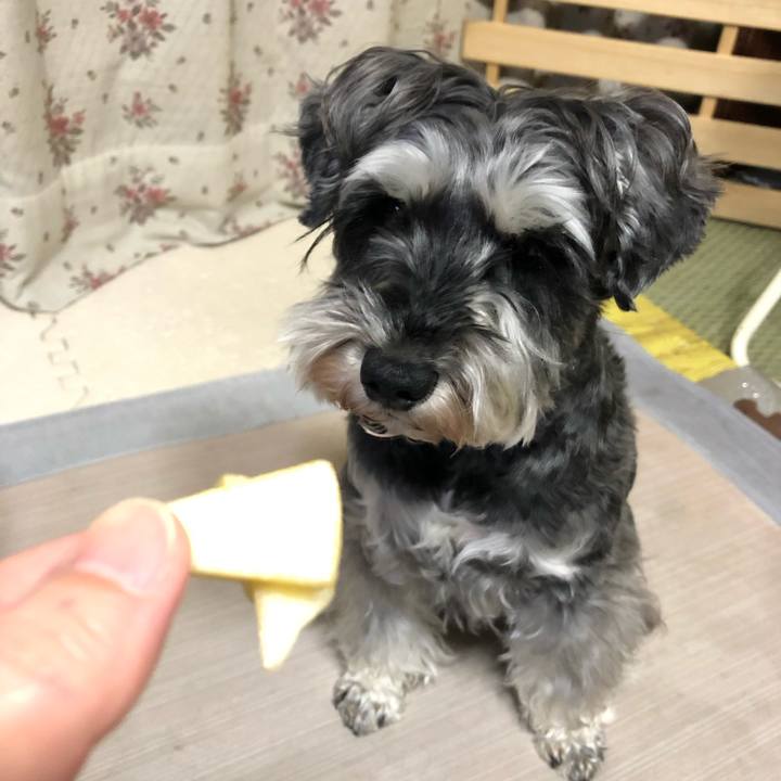 0f5fc36b b4e4 4850 839d 8ad6d862667f 1645237348096