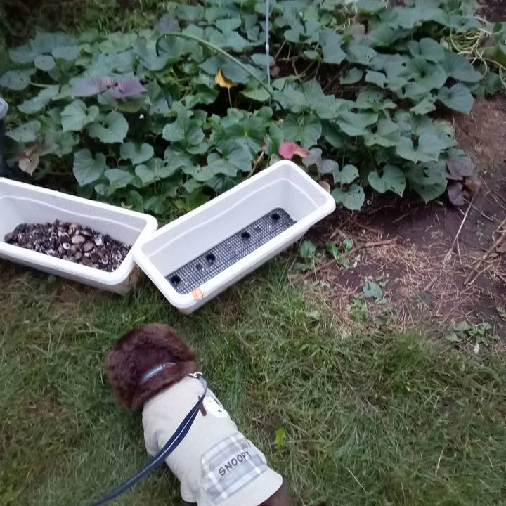 0f5fc48a b58d 45cc b2aa 779c4d0834d4 1760564384868