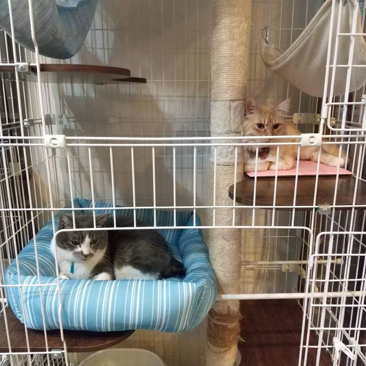 0f602122 d882 4630 95fc f4f74f1c518d 1644450714659