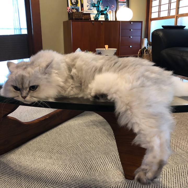 0f602a20 e44f 4def 9790 e49957066d66 1565314650672