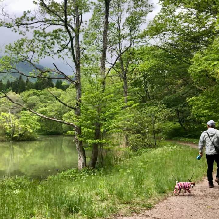 0f602cde 973e 458b 83cc 9f55a7a93621 1590218704330