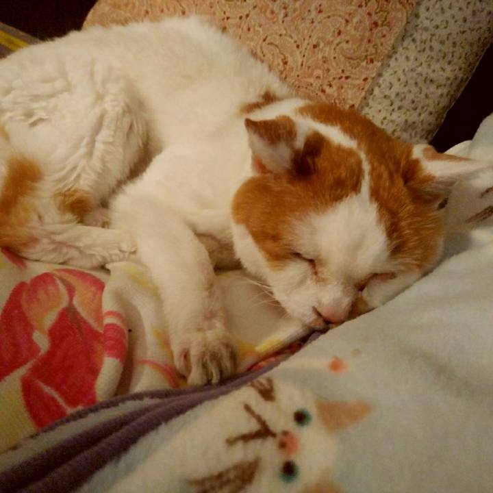 0f604768 226f 4bf5 aea9 92d67db08d77 1598271199572