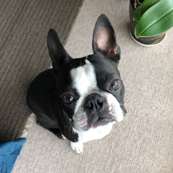 0f606f16 601d 439a a8cd 7954de0bed81 1555057336142