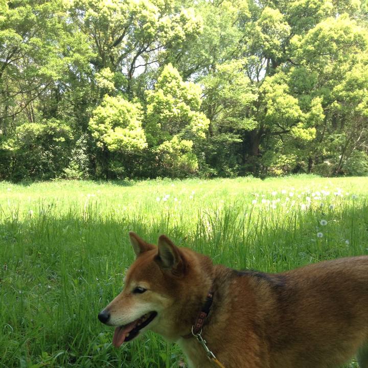 0f608d7e d53a 495a b1c2 45889fc23de7 1524386109592