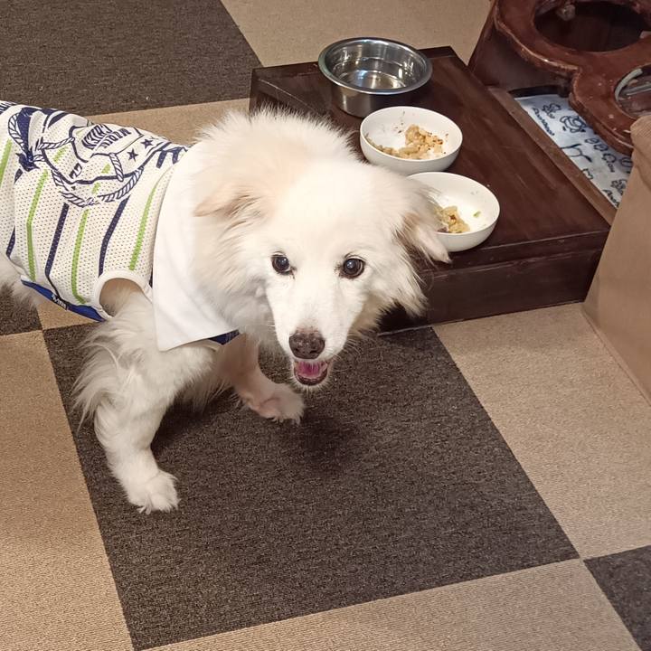 0f60b23e 535b 4b3b a635 bd108996b90b 1756067208159