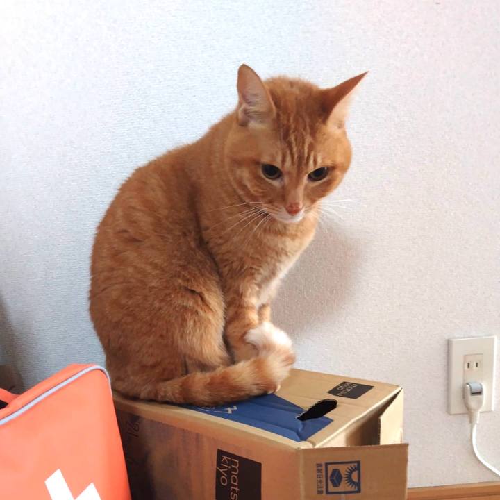 0f60b3a0 2eb7 4805 8012 aa5b65f84133 1766966629015