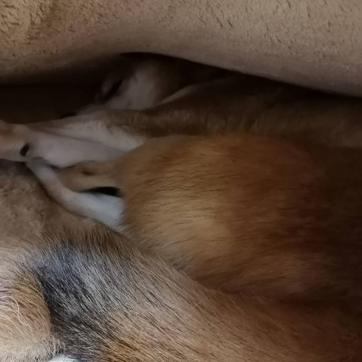 0f60cd51 1e8e 4303 a71a 3df7430a48b7 1644158332170