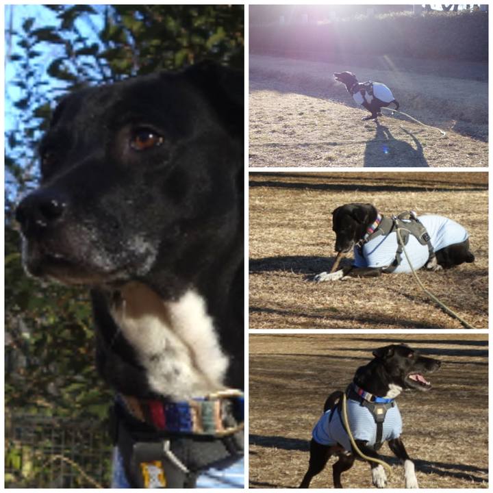 0f60d3a7 a37d 4d4c aa8f 671a1f724bb0 1643591761525