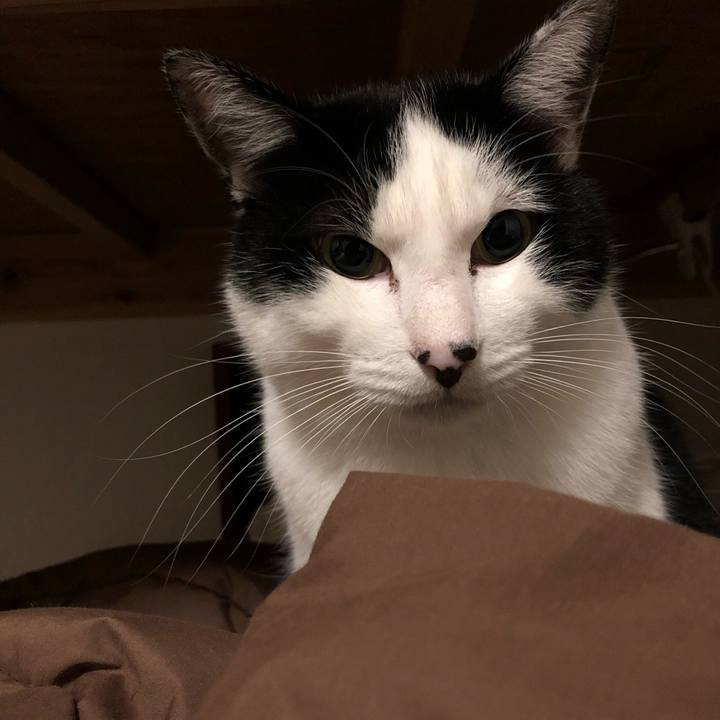 0f60dc0d 129c 4119 ad74 cc0637303c4e 1575049636927