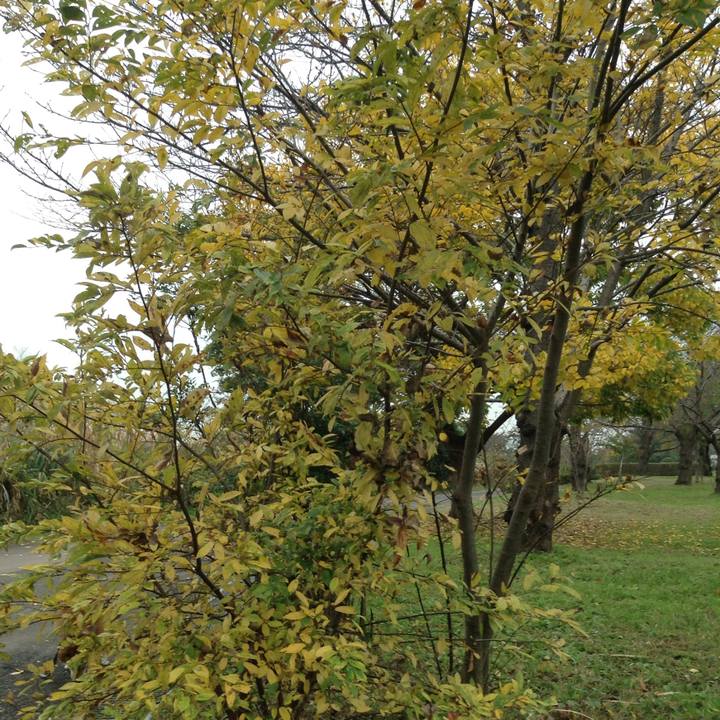 0f612090 6aa0 4462 a032 19c78781b343 1542081831574