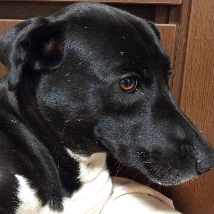 0f61301a e232 4b85 b277 410c872a4eb2 1589638069304