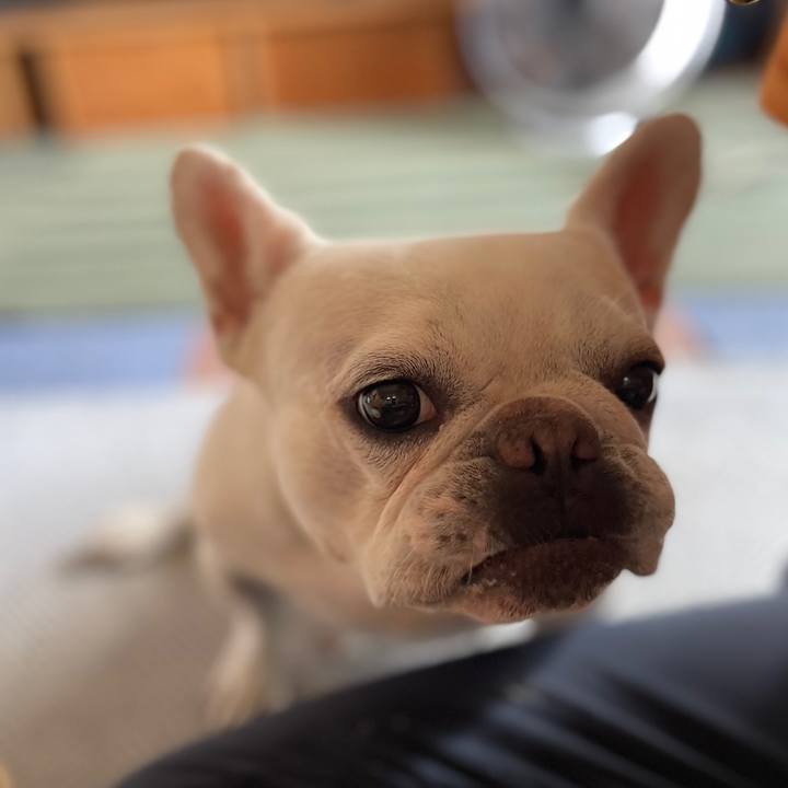 0f61421e 6aa2 4028 a79d 2ecad35c4ac2 1722244342144