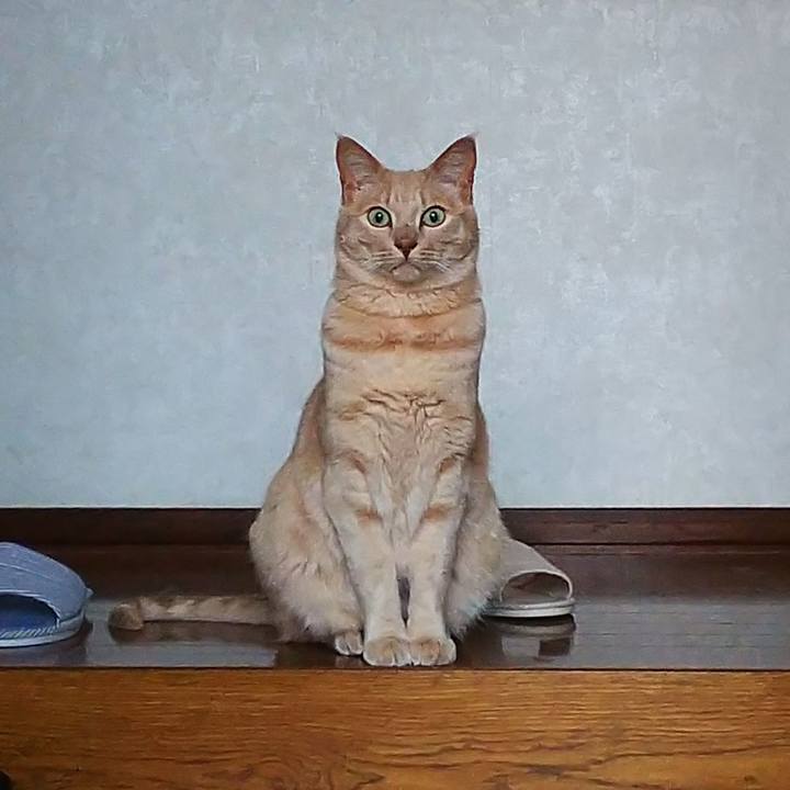 0f614aa1 13d1 4c7f 84d7 81f95160444c 1683192639417