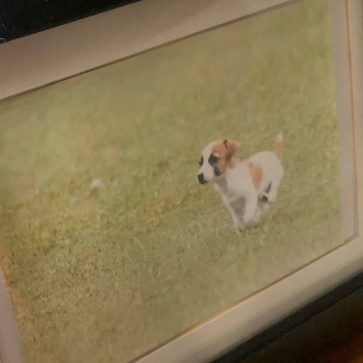 0f61665a 0b0a 4970 a499 055ef182328d 1679831037491