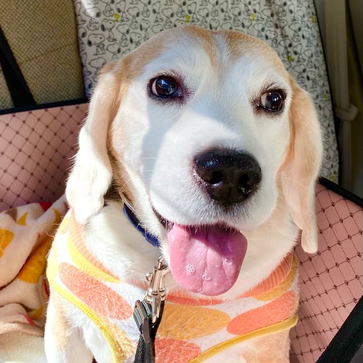 0f618914 e2b8 4324 ab29 03641c11bc85 1612497066346