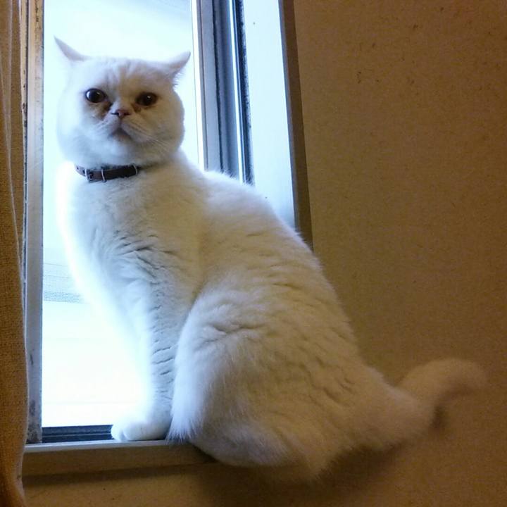 0f61a616 9e64 444e 99f1 7f110306c55e 1509750432269