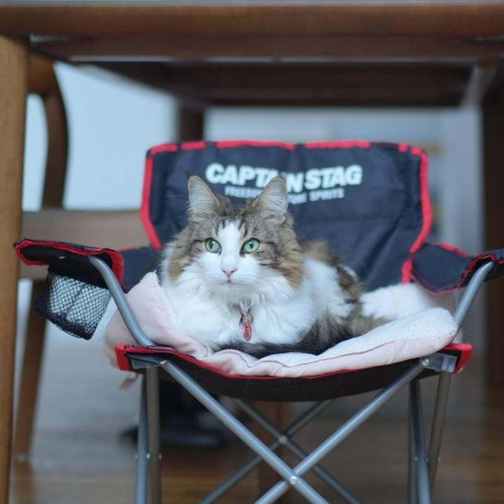 0f61b98b 096a 43fa a1b1 1d75343f5239 1708426875868