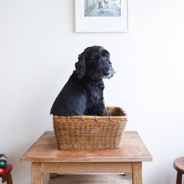 0f62189c e32c 40f3 9b01 202a17690372 1521938300714