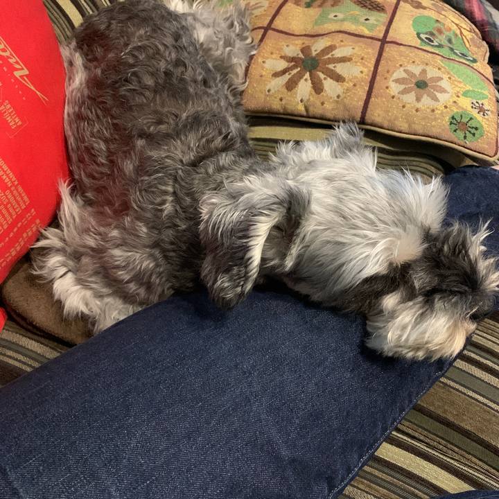 0f62245b 0682 44b5 b494 f8d9c0394ba1 1631940715594