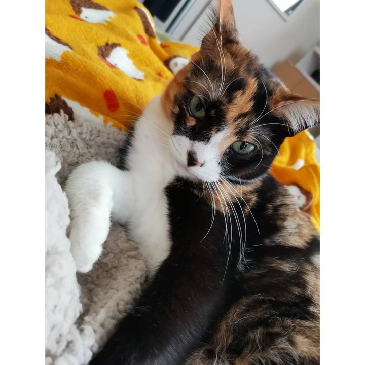 0f622bc7 86e1 4499 8064 3bfdecb9cda9 1641271615808